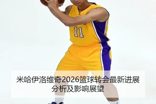 米哈伊洛维奇2026篮球转会最新进展分析及影响展望