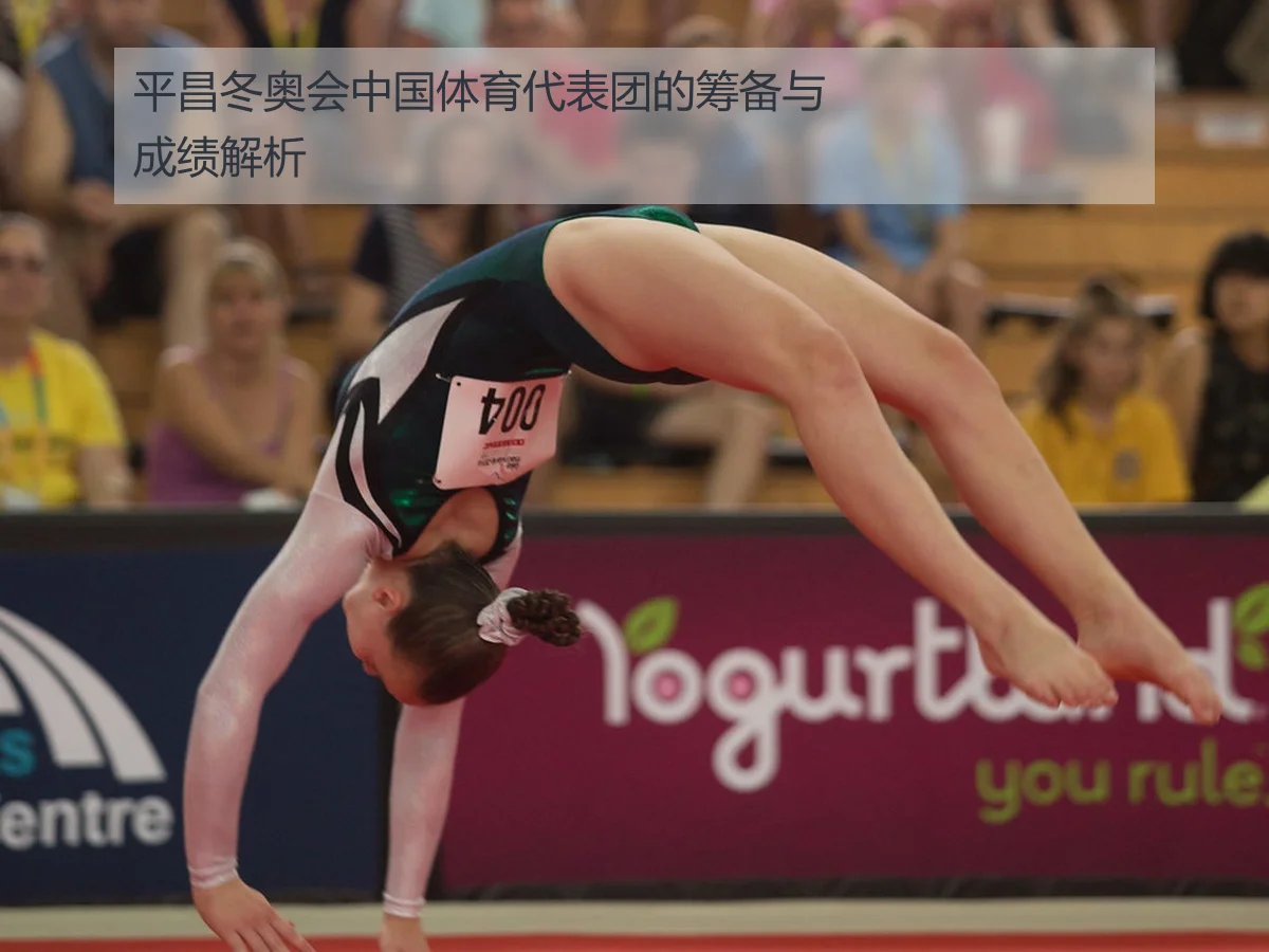 平昌冬奥会中国体育代表团的筹备与成绩解析