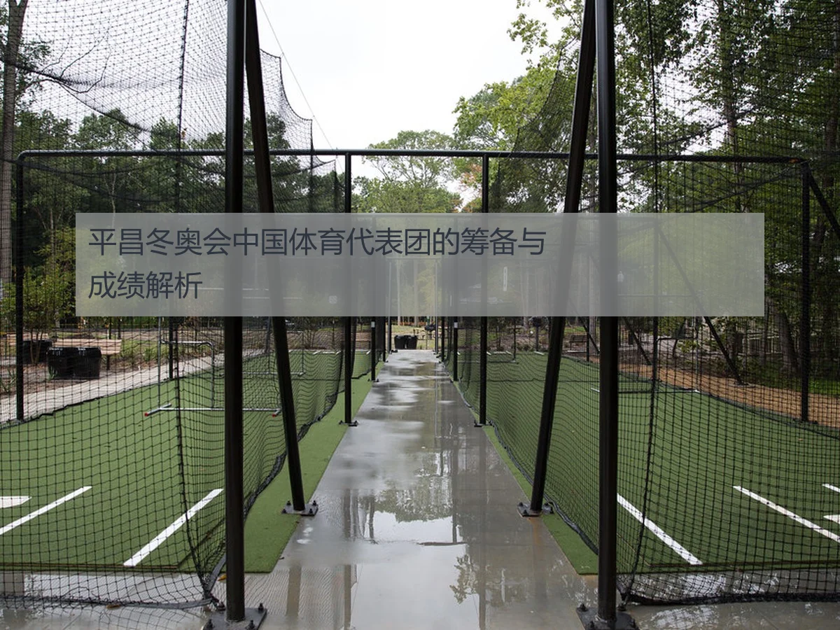 平昌冬奥会中国体育代表团的筹备与成绩解析